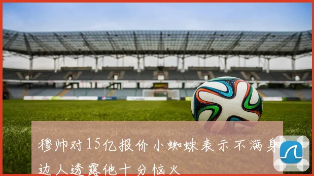 穆帅对15亿报价小蜘蛛表示不满身边人透露他十分恼火