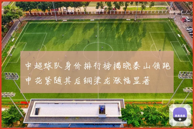 中超球队身价排行榜揭晓泰山领跑申花紧随其后铜梁龙涨幅显著